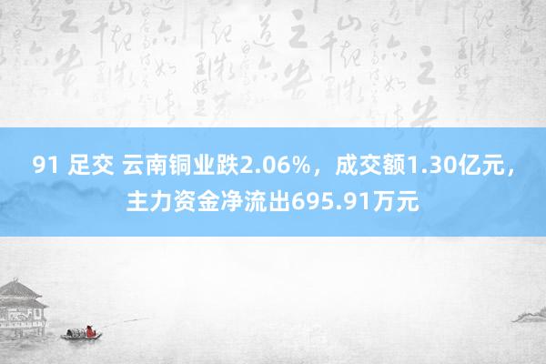 91 足交 云南铜业跌2.06%，成交额1.30亿元，主力资金净流出695.91万元