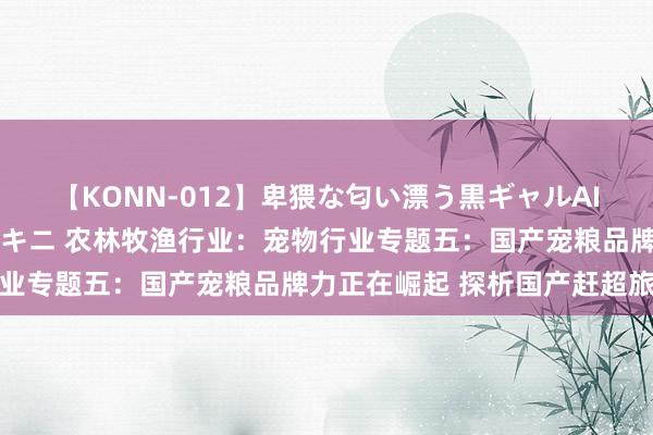 【KONN-012】卑猥な匂い漂う黒ギャルAIKAの中出しグイ込みビキニ 农林牧渔行业：宠物行业专题五：国产宠粮品牌力正在崛起 探析国产赶超旅途