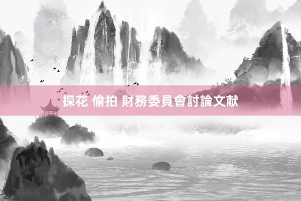 探花 偷拍 財務委員會討論文献