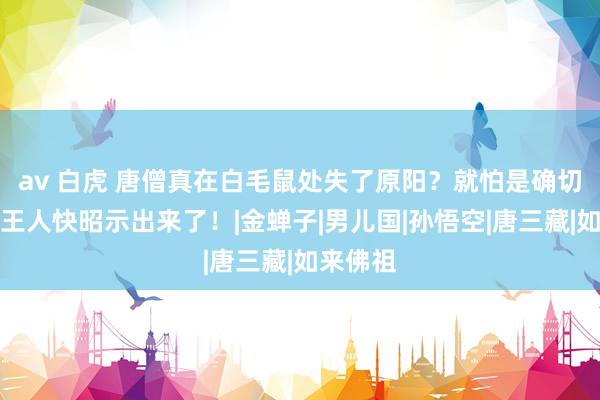 av 白虎 唐僧真在白毛鼠处失了原阳？就怕是确切，作家王人快昭示出来了！|金蝉子|男儿国|孙悟空|唐三藏|如来佛祖