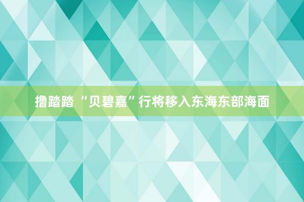 撸踏踏 “贝碧嘉”行将移入东海东部海面