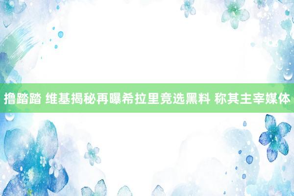 撸踏踏 维基揭秘再曝希拉里竞选黑料 称其主宰媒体