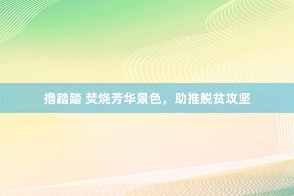 撸踏踏 焚烧芳华景色，助推脱贫攻坚