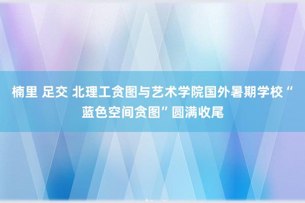楠里 足交 北理工贪图与艺术学院国外暑期学校“蓝色空间贪图”圆满收尾