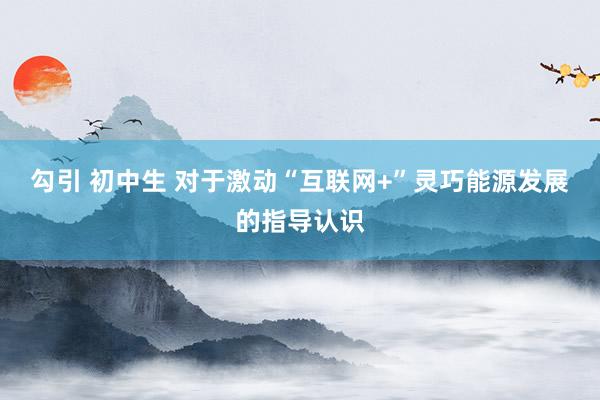勾引 初中生 对于激动“互联网+”灵巧能源发展的指导认识