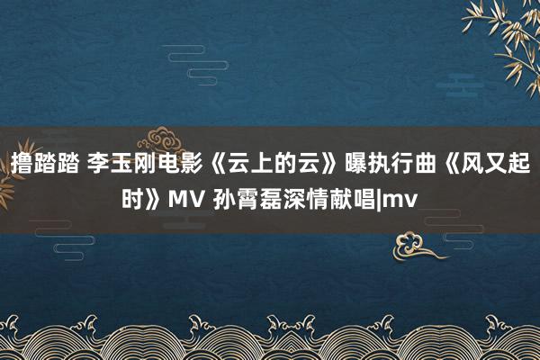 撸踏踏 李玉刚电影《云上的云》曝执行曲《风又起时》MV 孙霄磊深情献唱|mv