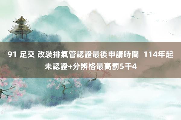 91 足交 改裝排氣管認證最後申請時間  114年起未認證+分辨格最高罰5千4