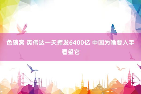 色狼窝 英伟达一天挥发6400亿 中国为啥要入手看望它
