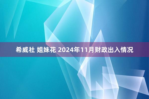 希威社 姐妹花 2024年11月财政出入情况