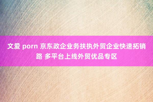 文爱 porn 京东政企业务扶执外贸企业快速拓销路 多平台上线外贸优品专区