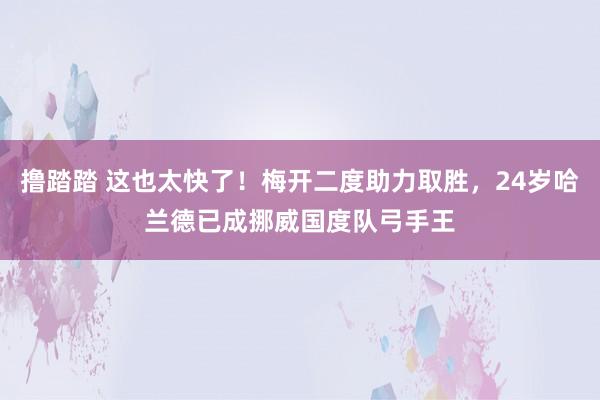 撸踏踏 这也太快了！梅开二度助力取胜，24岁哈兰德已成挪威国度队弓手王